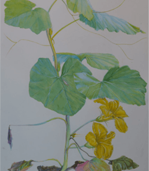 Rouge Vif Installation — Detail Malerei