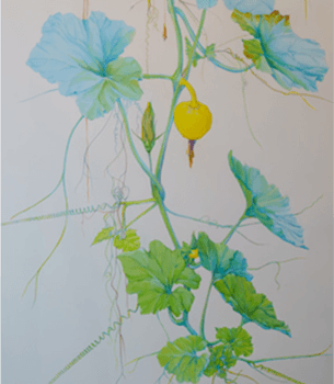 Rouge Vif Installation — Detail Textildesign