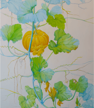 Rouge Vif Installation — Raumansicht