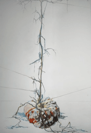 Rouge Vif Installation — Werden und Vergehen