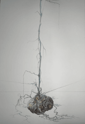 Rouge Vif Installation — Naturstudien Nahaufnahme