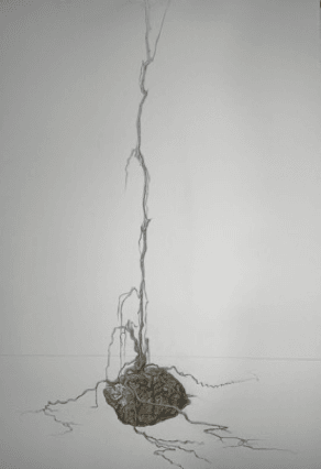 Rouge Vif Installation — Abschluss der Installation